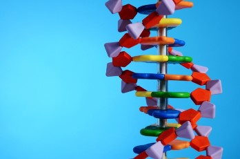 Российские генетики нашли мутацию, вызывающую гипертермию при общем наркозе